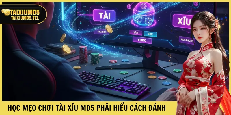 Học mẹo chơi Tài Xỉu MD5 phải hiểu cách đánh