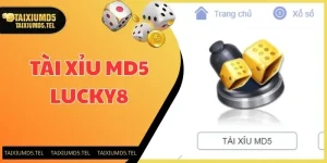 tai-xiu-md5-luck8-thien-duong-xuc-xac-trieu-luot-choi